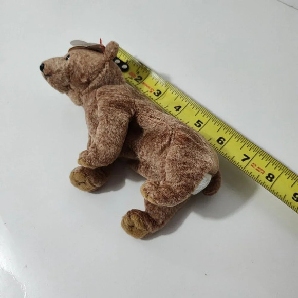 Vintage 1999 Ty Beanie Babies Pecan Bear Plush Stuffed Animal Brown Hang Tag - Picture 9 of 9